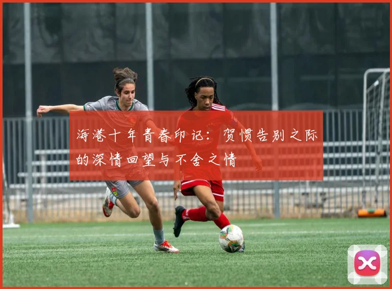 海港十年青春印记：贺惯告别之际的深情回望与不舍之情