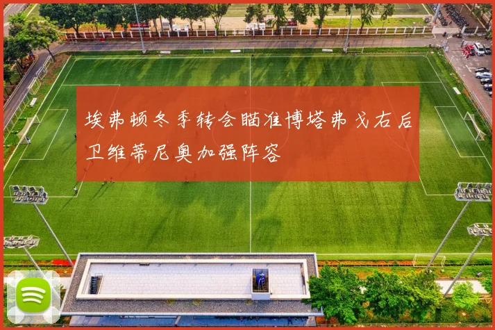 埃弗顿冬季转会瞄准博塔弗戈右后卫维蒂尼奥加强阵容