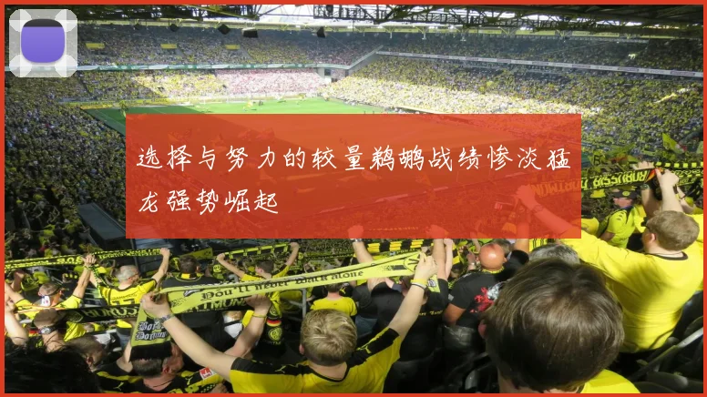 选择与努力的较量鹈鹕战绩惨淡猛龙强势崛起