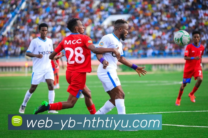 华体会体育平台生态图