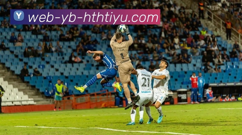 华体会体育APP 封面图